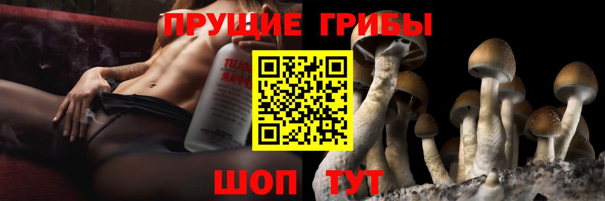 Псилоцибиновые грибы MAGIC MUSHROOMS Кстово